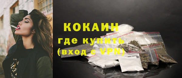 СК Сафоново