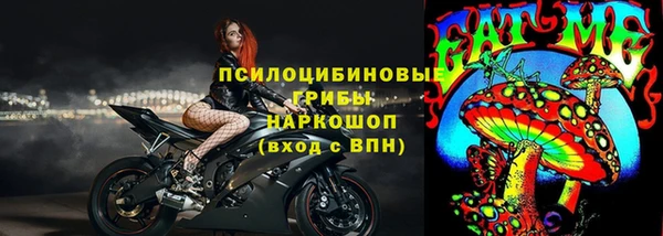 СК Сафоново