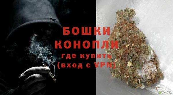 СК Сафоново