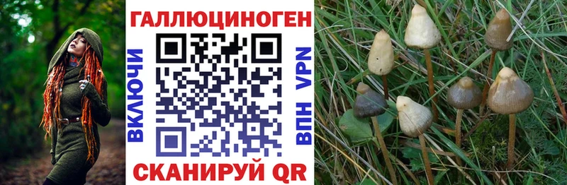 hydra tor  Теберда  Галлюциногенные грибы GOLDEN TEACHER 