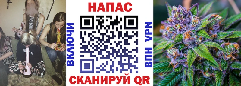 Каннабис Amnesia  Теберда 
